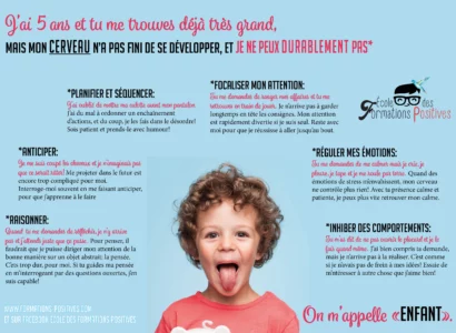 Le cerveau de l'enfant en quelques mots pour mieux comprendre